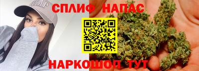 Альфа ПВП Гусиноозёрск