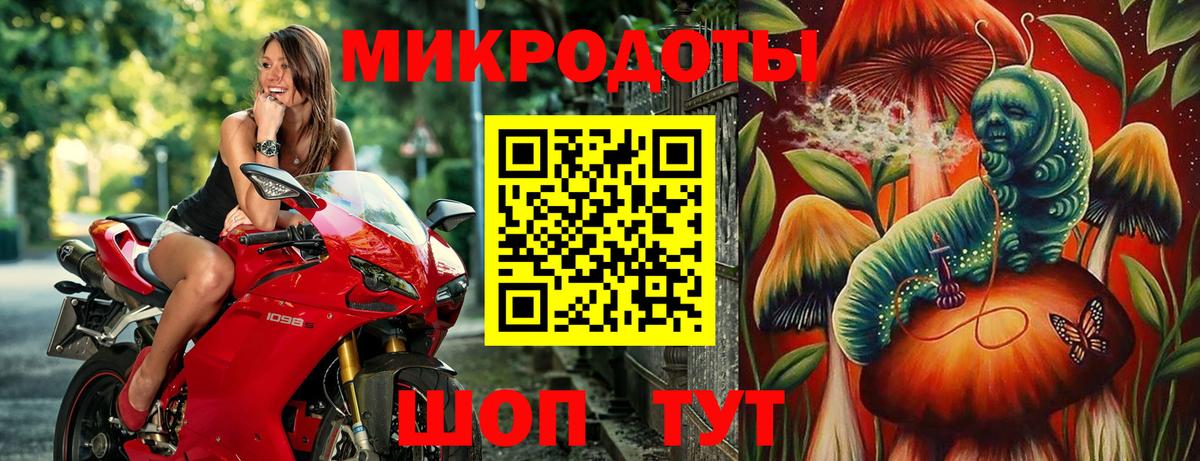 Галлюциногенные грибы MAGIC MUSHROOMS  где купить   Новодвинск  Вход с VPN 